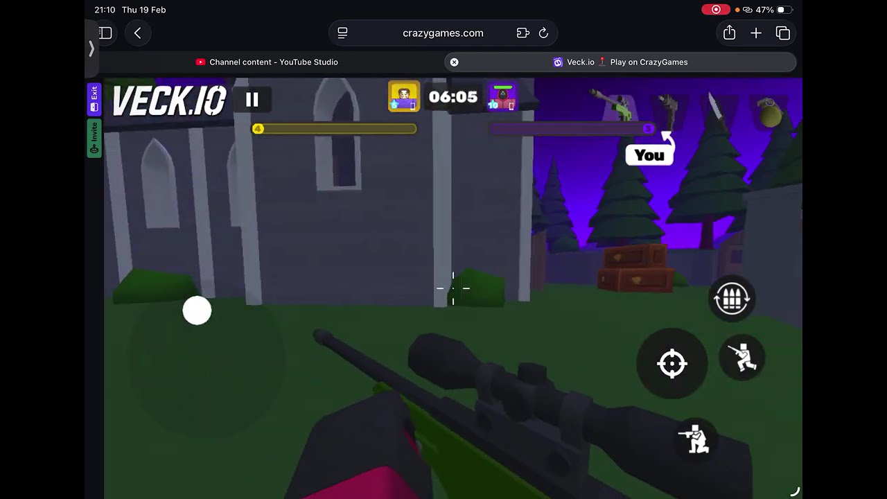 I played Veck.io with my  Best Friend