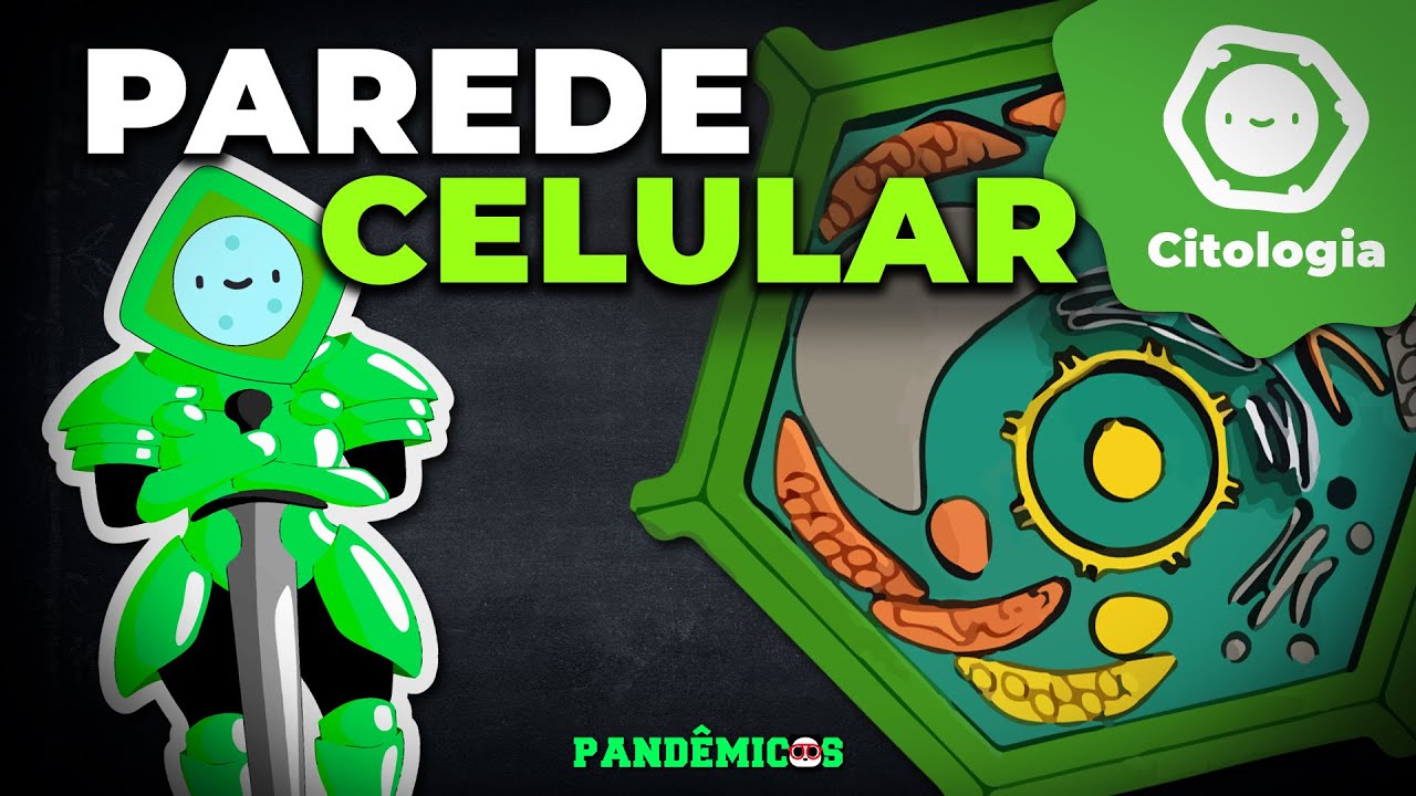 Parede Celular