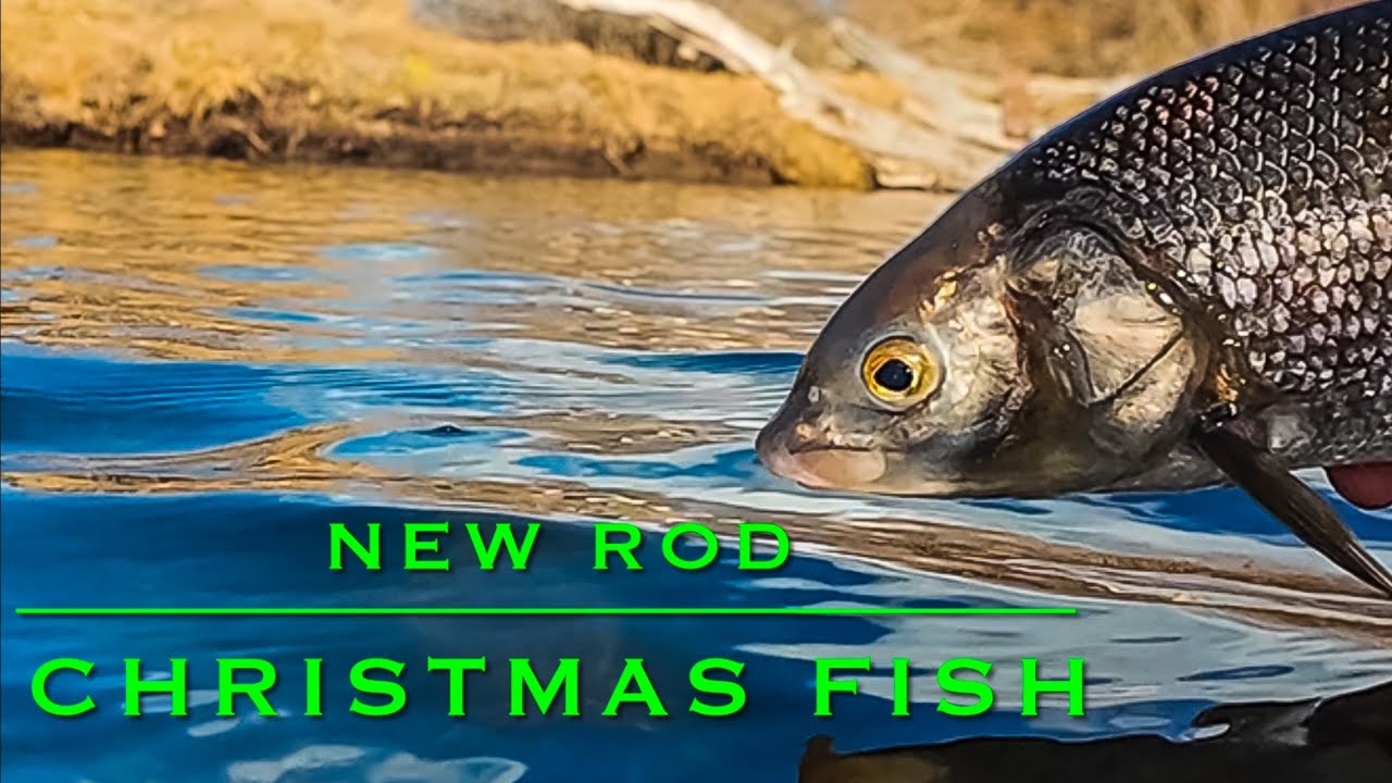 New Rod for Christmas! Orvis Clearwater 6 wt!