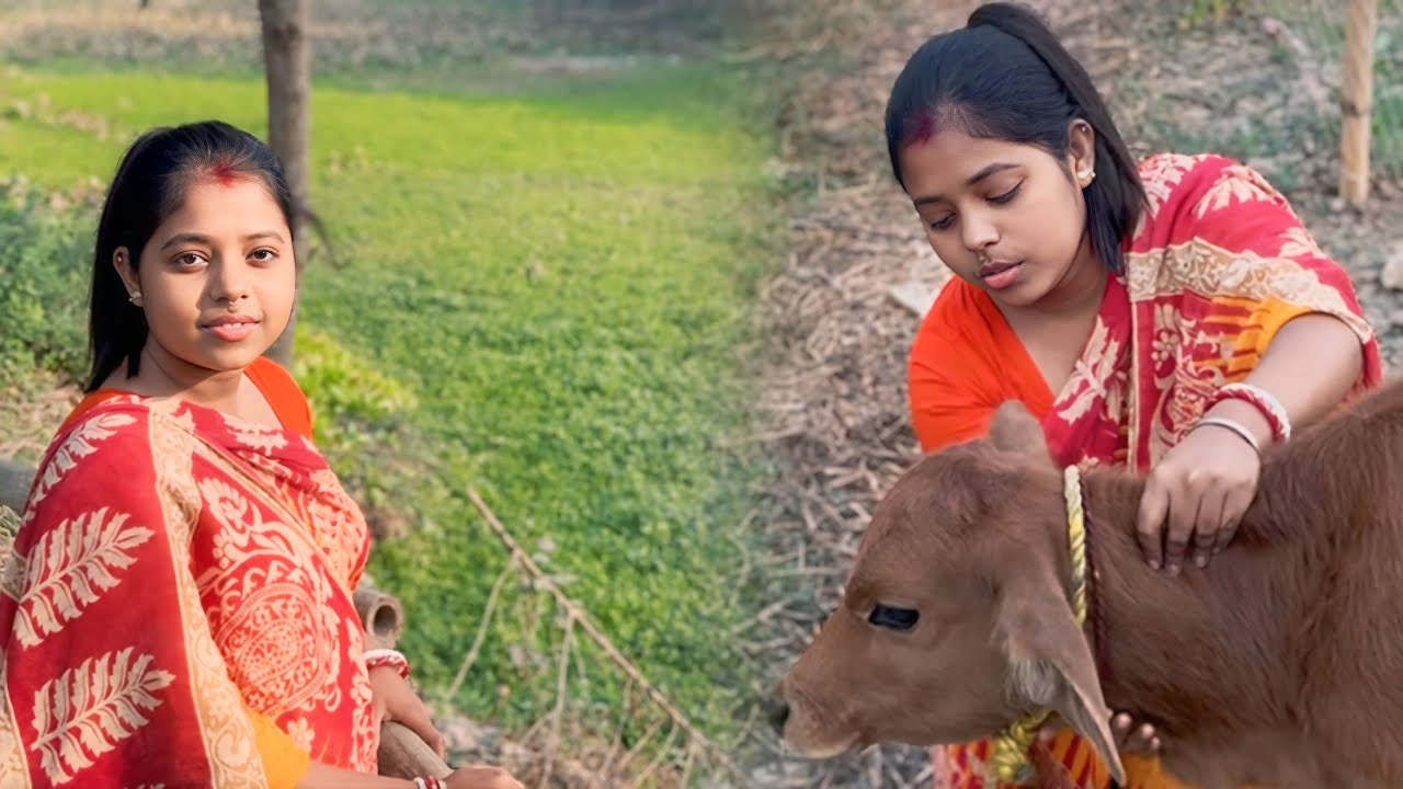 বেহুলা নদী দেখতে গিয়ে ধবলিকে আদর করে আসলাম! 😇 