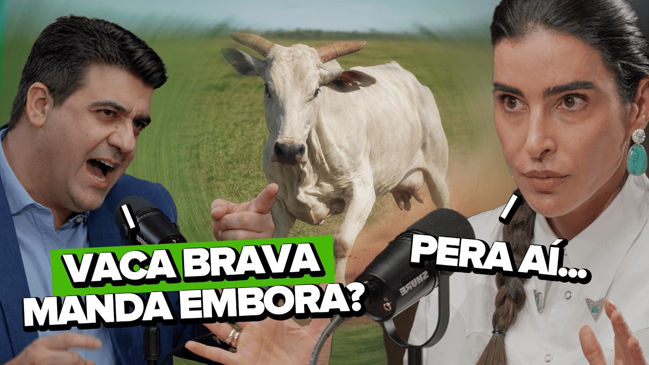 VACA BRAVA É GENÉTICA OU FALTA DE MANEJO? - MF CAST #127