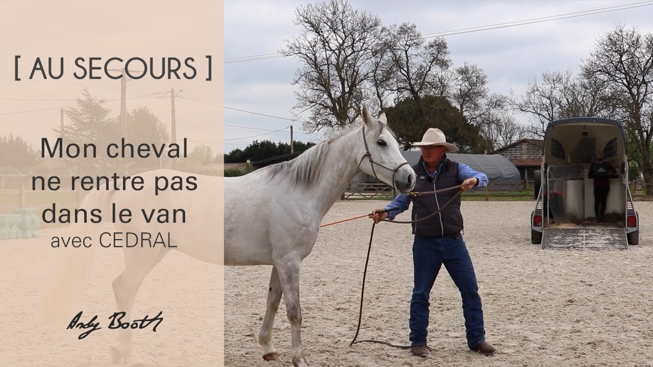 [AU SECOURS] Mon cheval ne rentre pas dans le van ? Avec Cédral