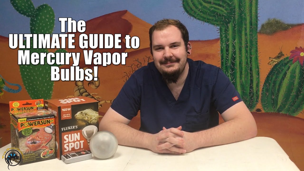 What is a Mercury Vapor Bulb and How Do You Use One? 💡