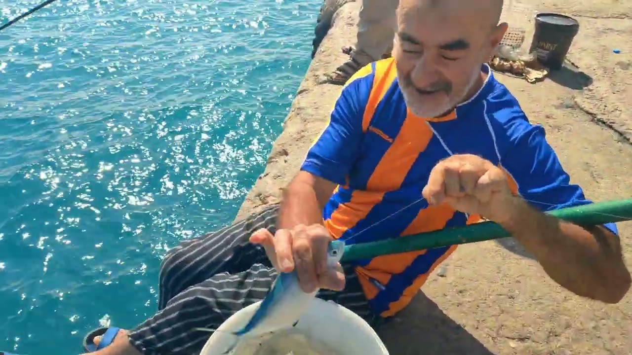 دلس ولاية بومرداس الجزائر