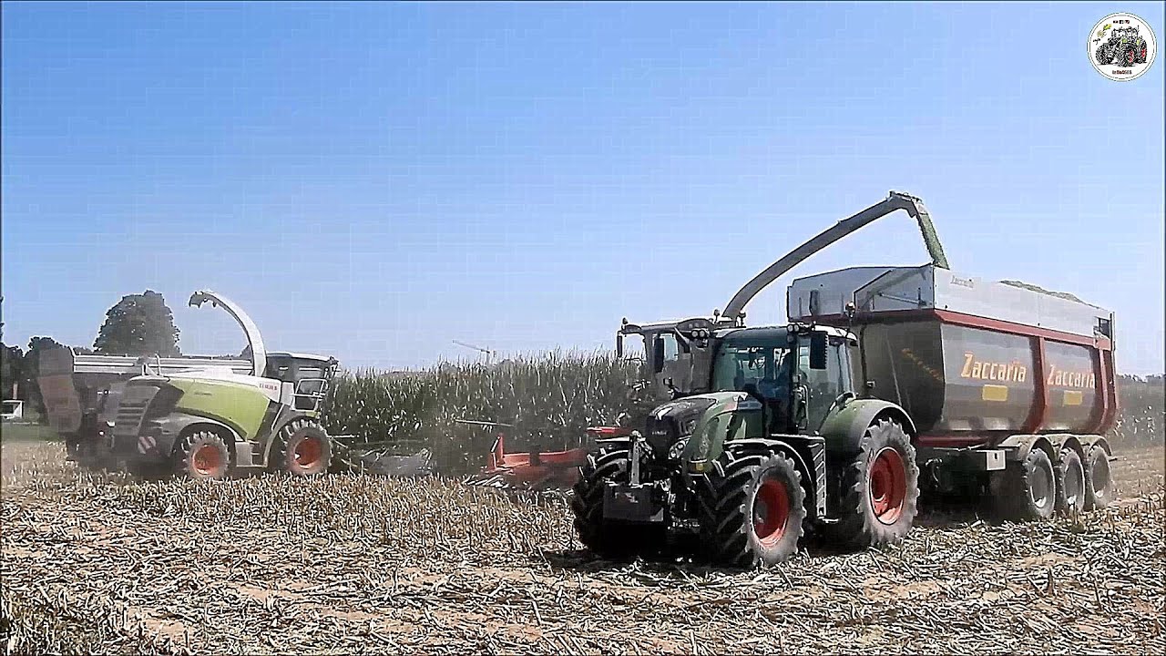 Claas Jaguar 980 (498) & Fendt Katana 85 - ANSELMI - Big corn silage 2021