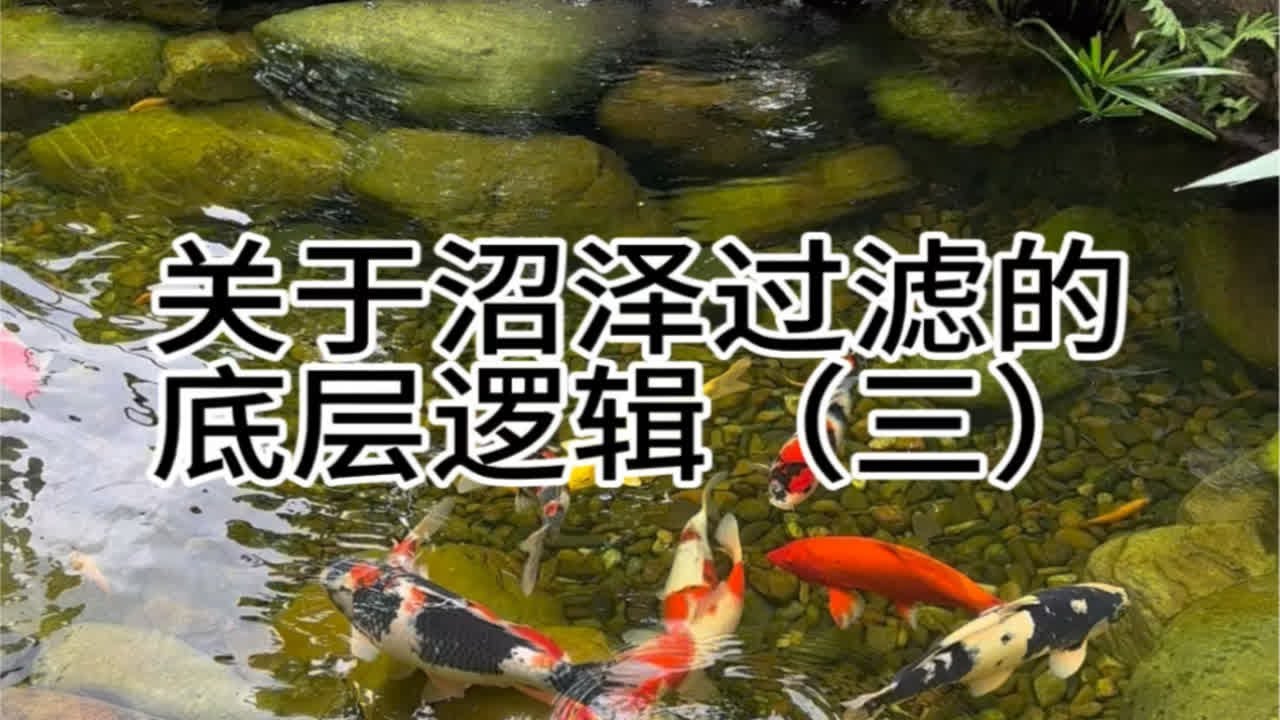 关于沼泽过滤的底层逻辑（三）