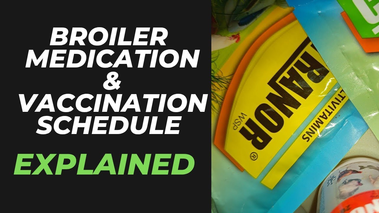 Broiler Medication and Vaccination Schedule