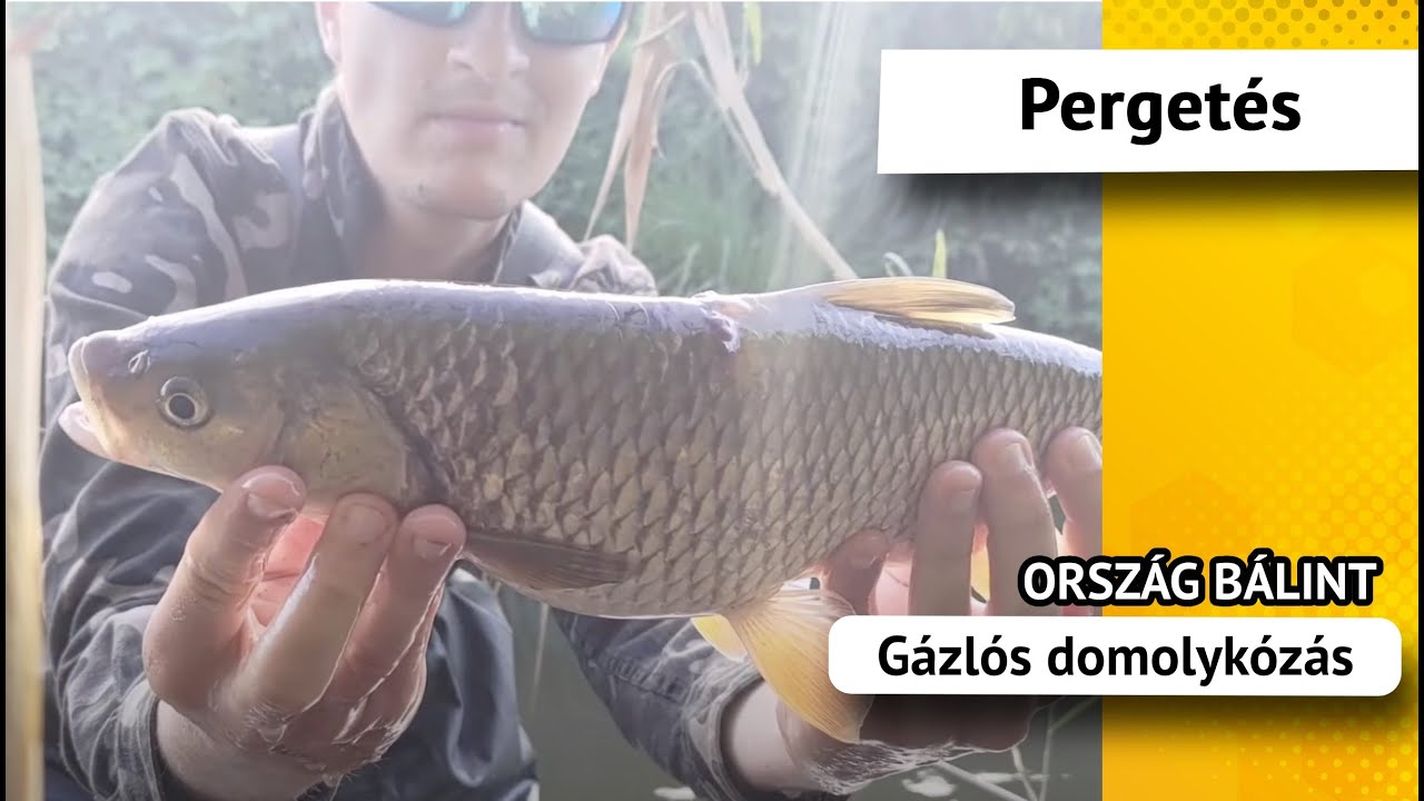 G&aacute;zl&oacute;s domolyk&oacute;z&aacute;s - Orsz&aacute;g B&aacute;lint
