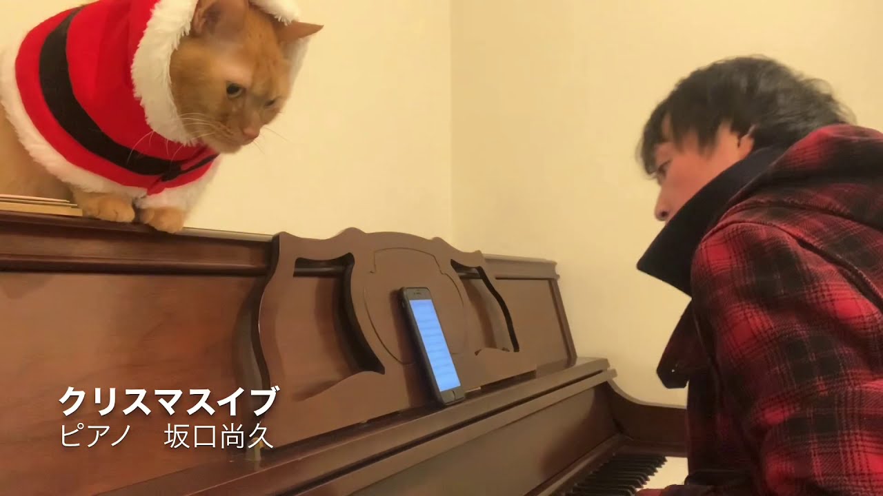 ピアノ【クリスマスイブ】山下達郎
