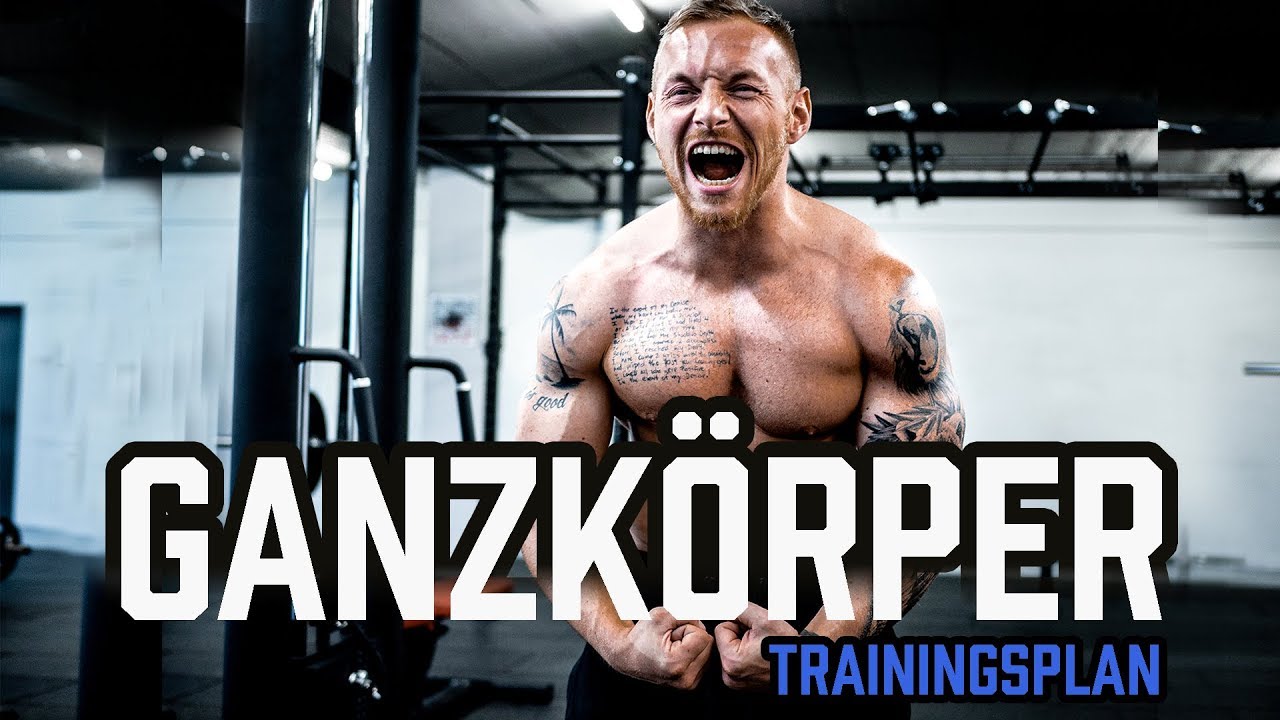GANZK&Ouml;RPER TRAININGSPLAN f&uuml;r das Fitnessstudio | Workout f&uuml;r Anf&auml;nger und Fortgeschrittene im Gym