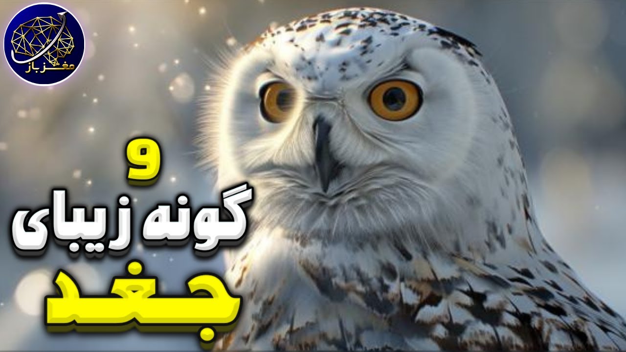 گونه های زیبای جغد که در طبیعت پرسه میزنند