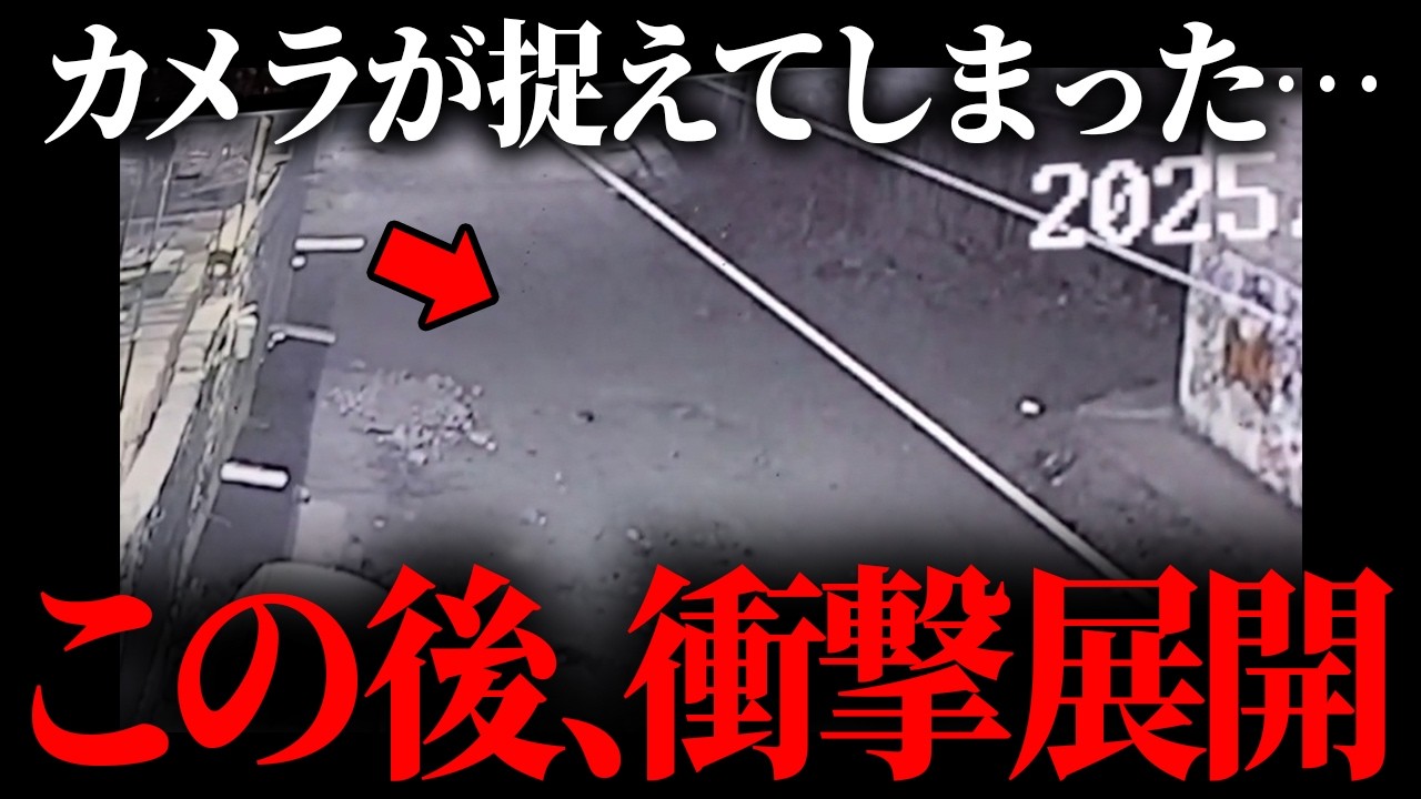 この世のものとは思えないヤバすぎる映像が発見されました。【 都市伝説 UMA 未確認生物 】