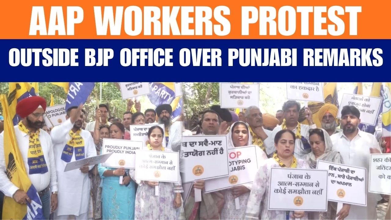 Chandigarh AAP Workers Protest Outside BJP Office Over Remarks on Punjabis, Burn Effigy of BJP Chief