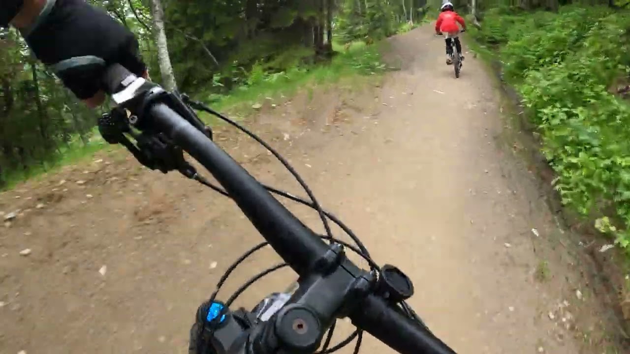 &Aring;re Bike Park Sommar 2022, Cobra & Br&auml;ckesv&auml;ngen