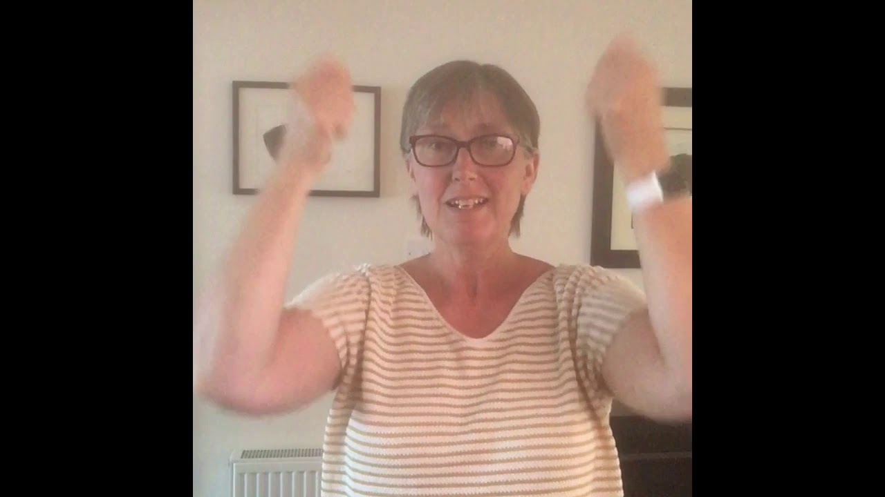 Hall of Fame by The Script   Performed with Makaton signs