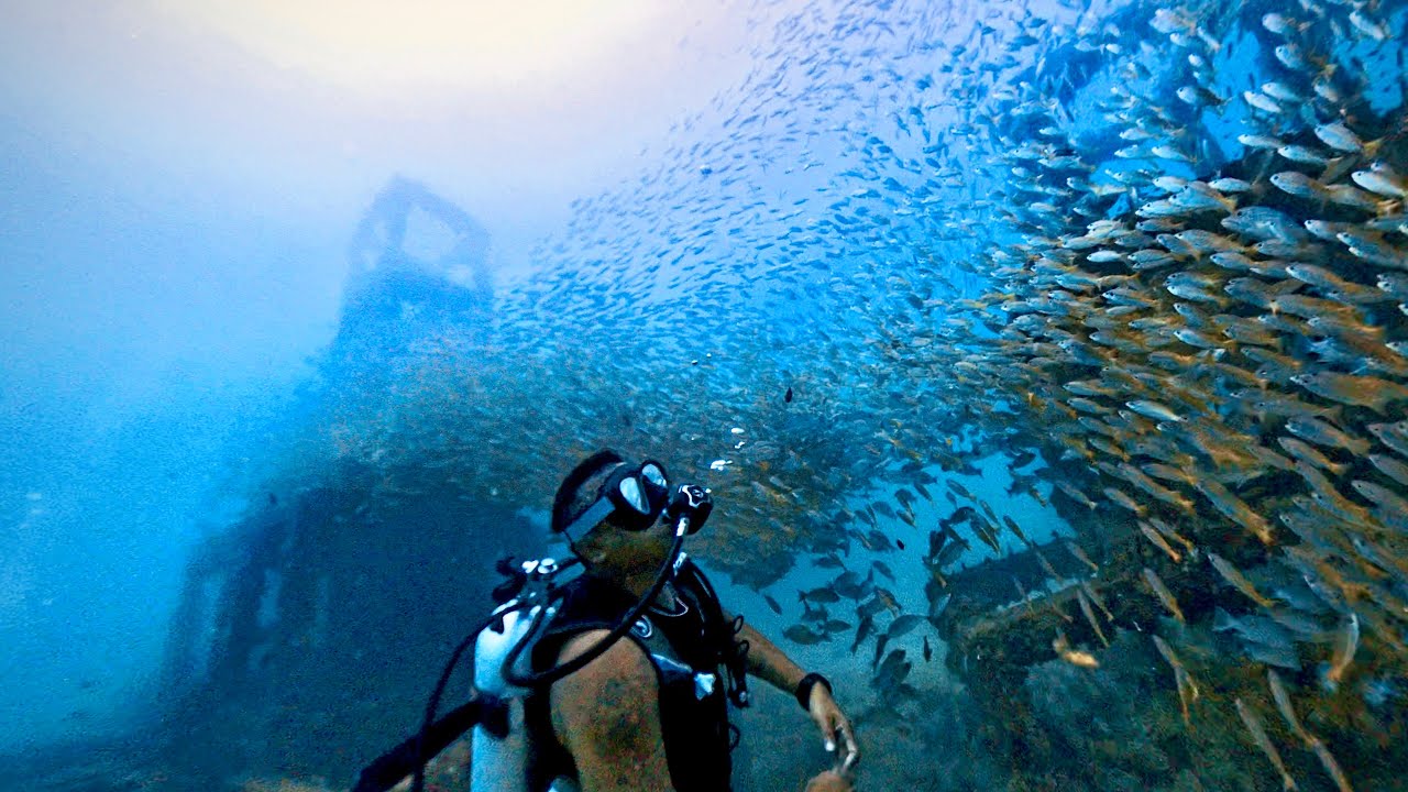 Dive Viking Cave | Phi Phi Islands, Thailand