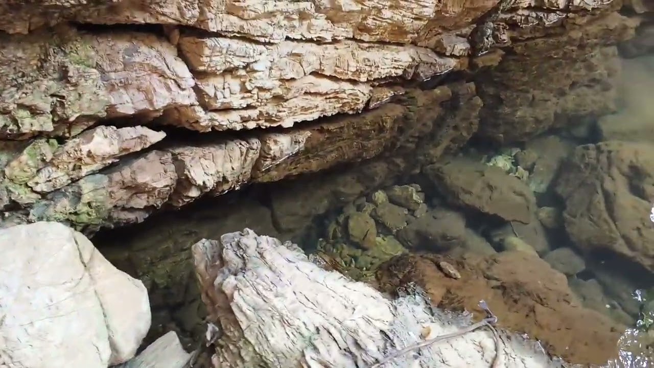 पत्तो मैं खाया मैगी 🏞️🌲(पहाड़ों की मेगी)#उत्तराखंड #kumauniculture #vlog#trendingvideo #vlogging 