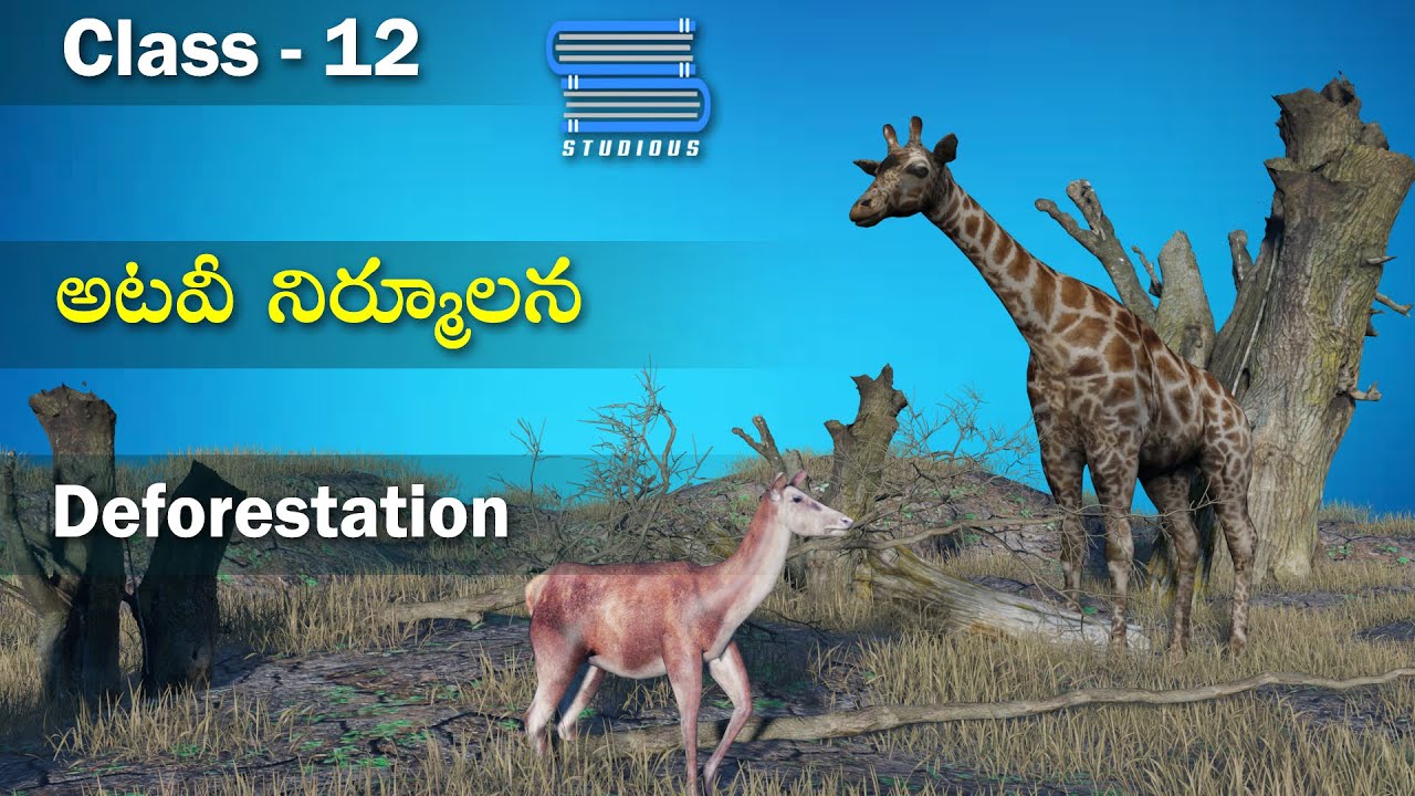 అటవీ నిర్మూలన – Deforestation | Environmental Issues | Biology Telugu | Class 12 Bipc | Botany