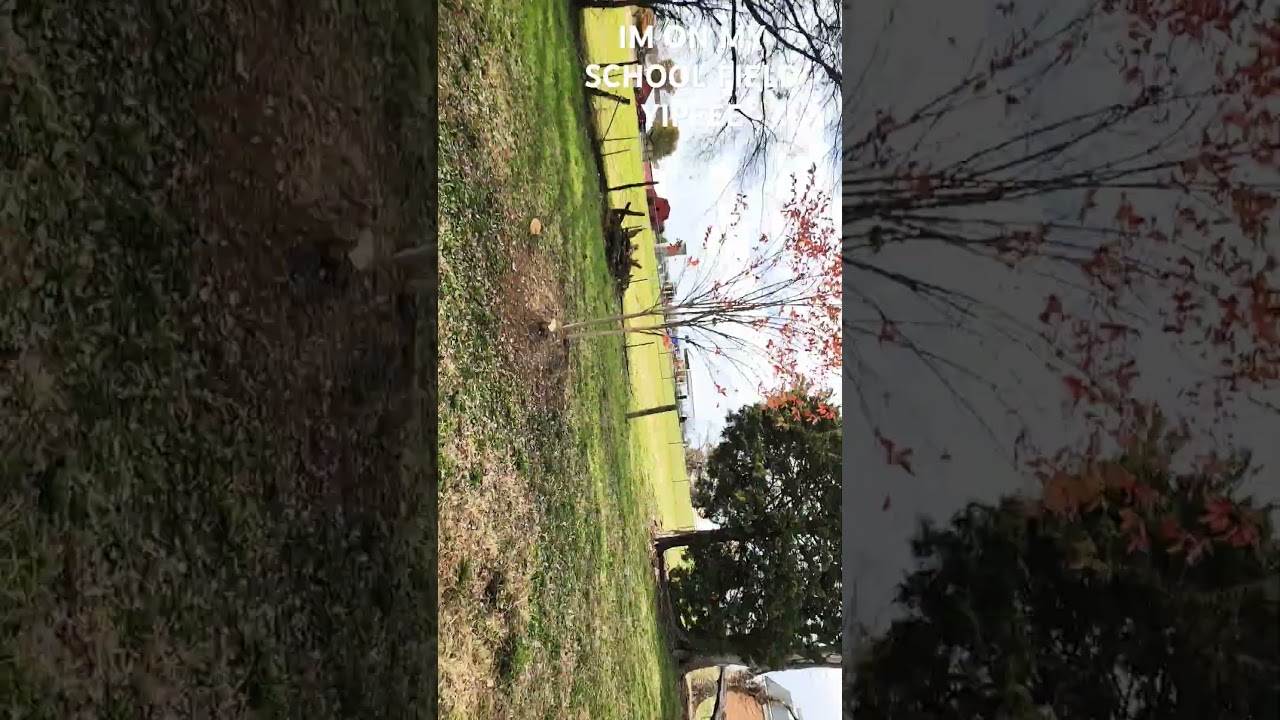 I snuck my phone during health and so yea there's my field