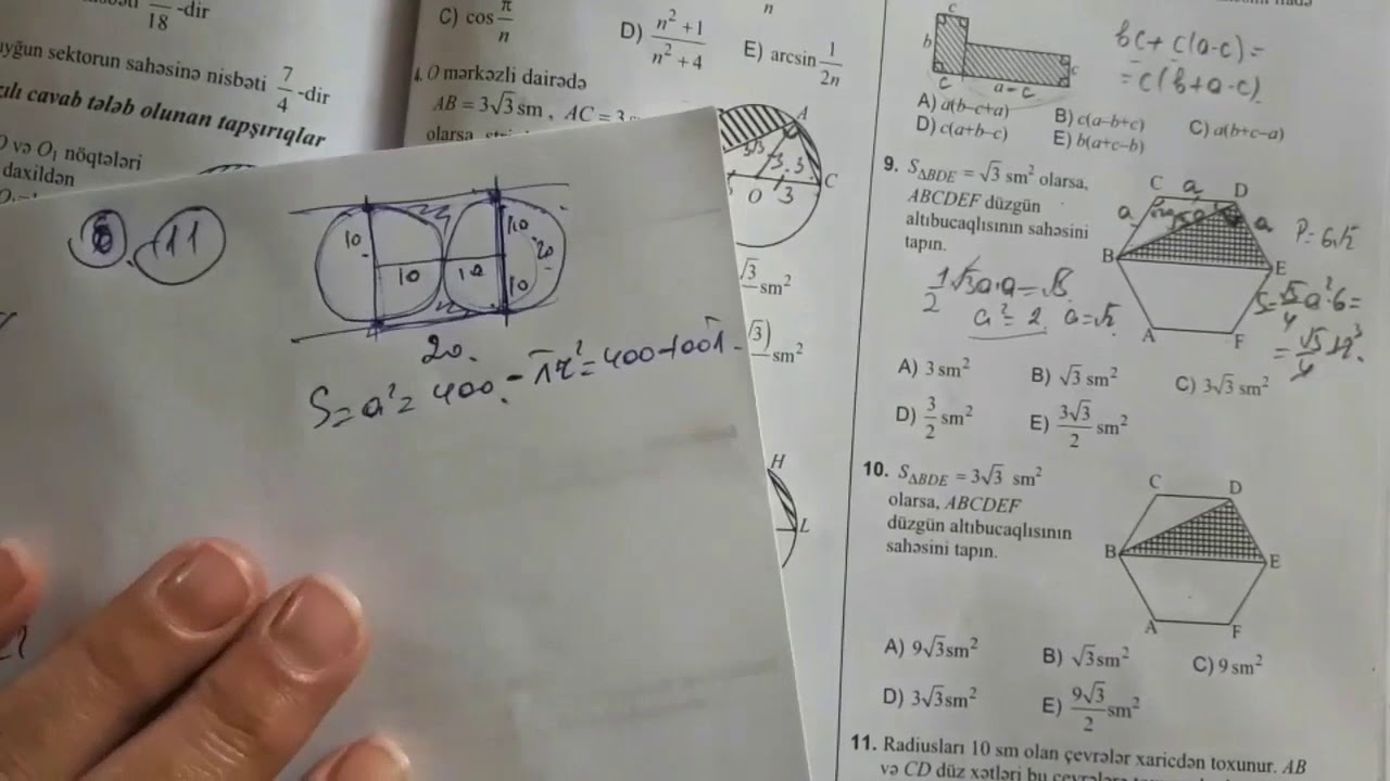 Test toplu.2019.Bezi coxbucaqlıların sahesi