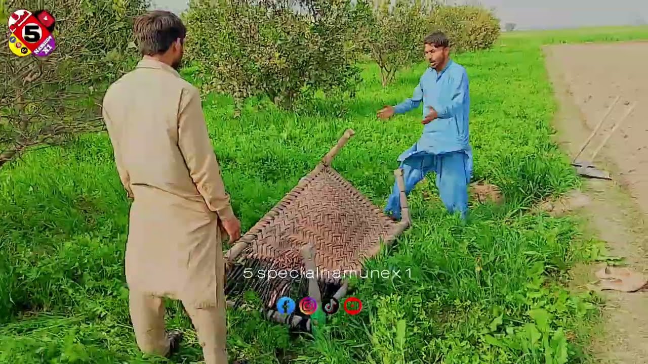 Mooli Chor Pakra Gaya 😱 | Maar Sahab Ne Di Aisi Saza Ke Sab Hans Pade 😂