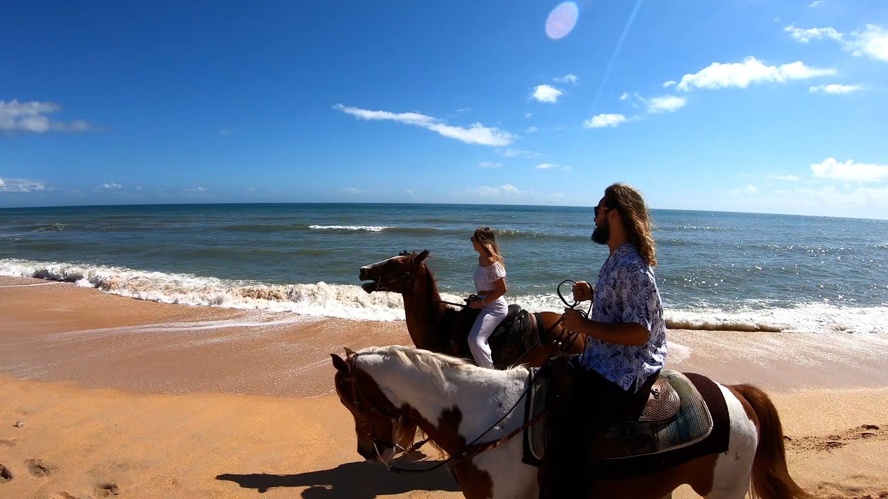 60 Seconds in Palm Coast & The Flagler Beaches