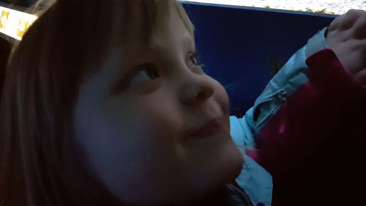 VLOG/LTVX/Zoo Mořsk&yacute;ch Ryb v Praze/Oni tu maj&iacute; i žraloky