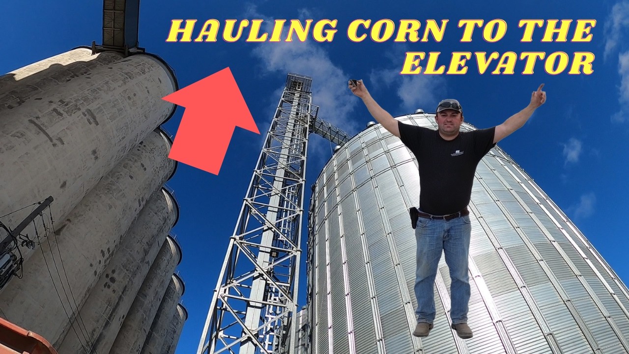 All the Corn gets hauled to the Elevator!