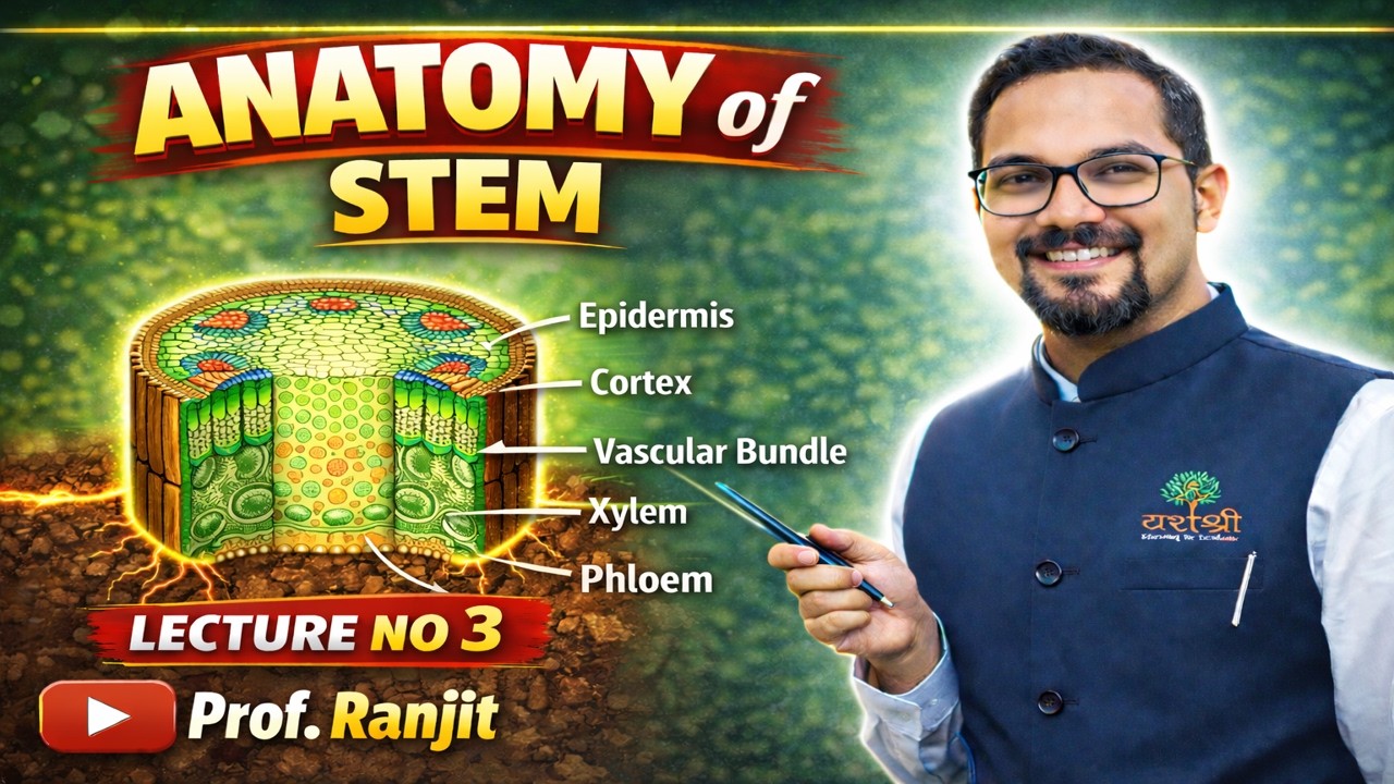Anatomy of Dicot Stem & Monocot Stem | Stem Anatomy in Marathi | Lecture 3