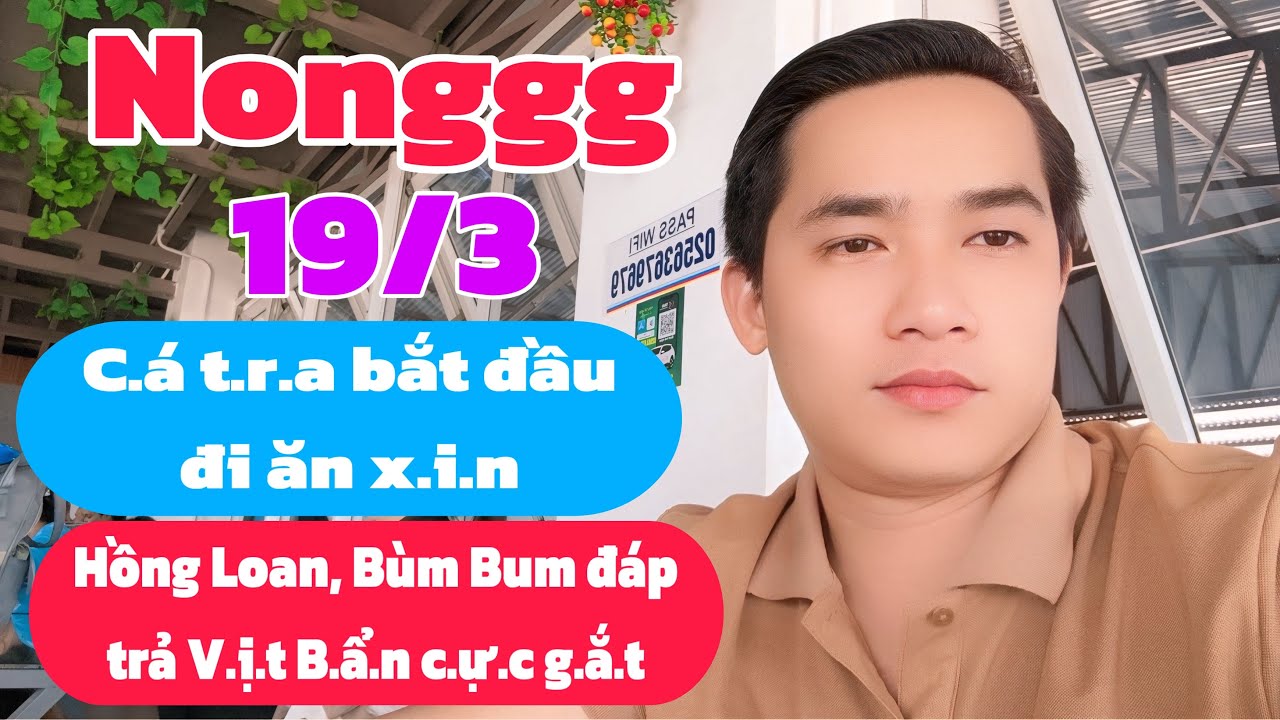 Nonggg: C.á t.r.a bắt đầu ă.n x.i.n, Hồng Loan, Bùm Bum đáp trả V.ị.t B.ẩ.n c.ự.c g.ắ.t
