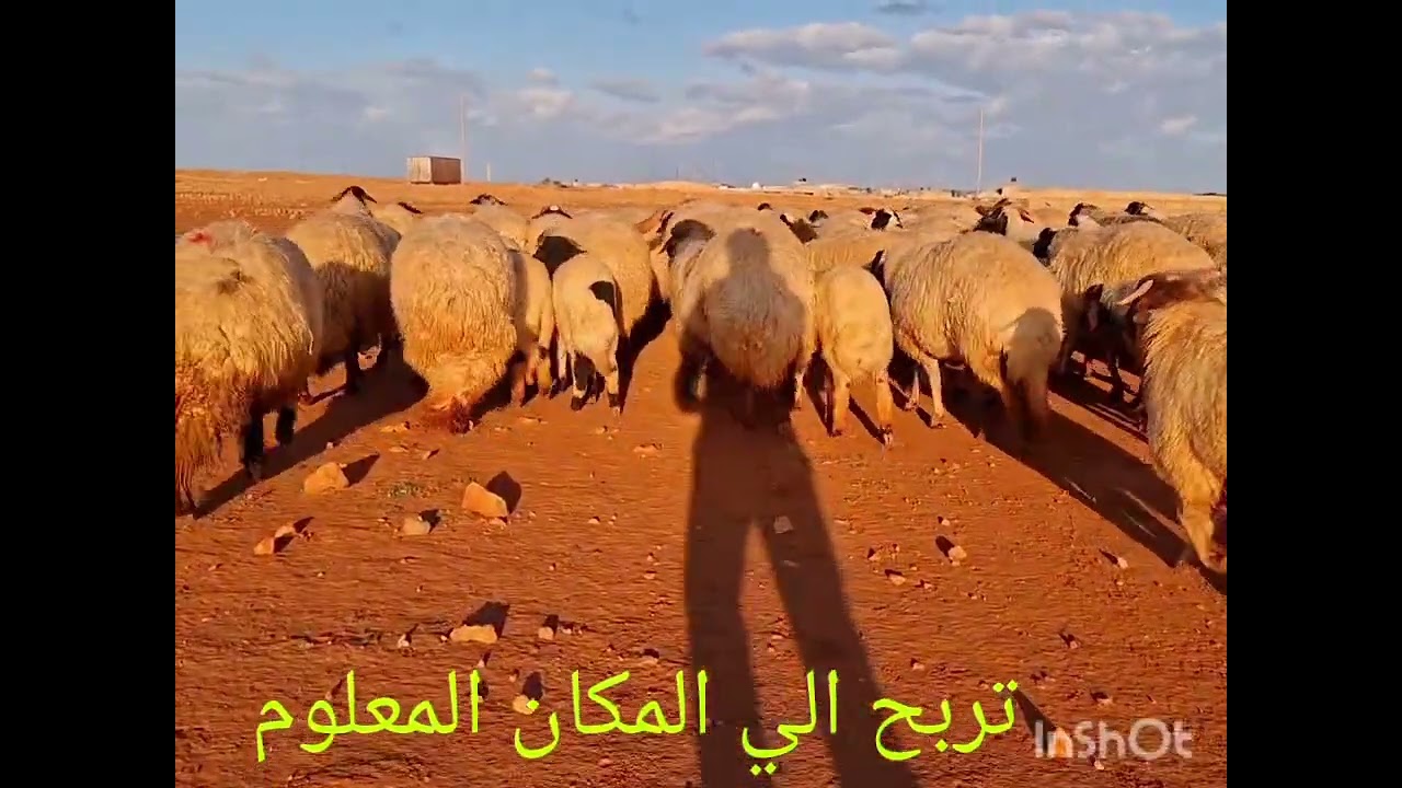 ٤ مارس ٢٠٢٦