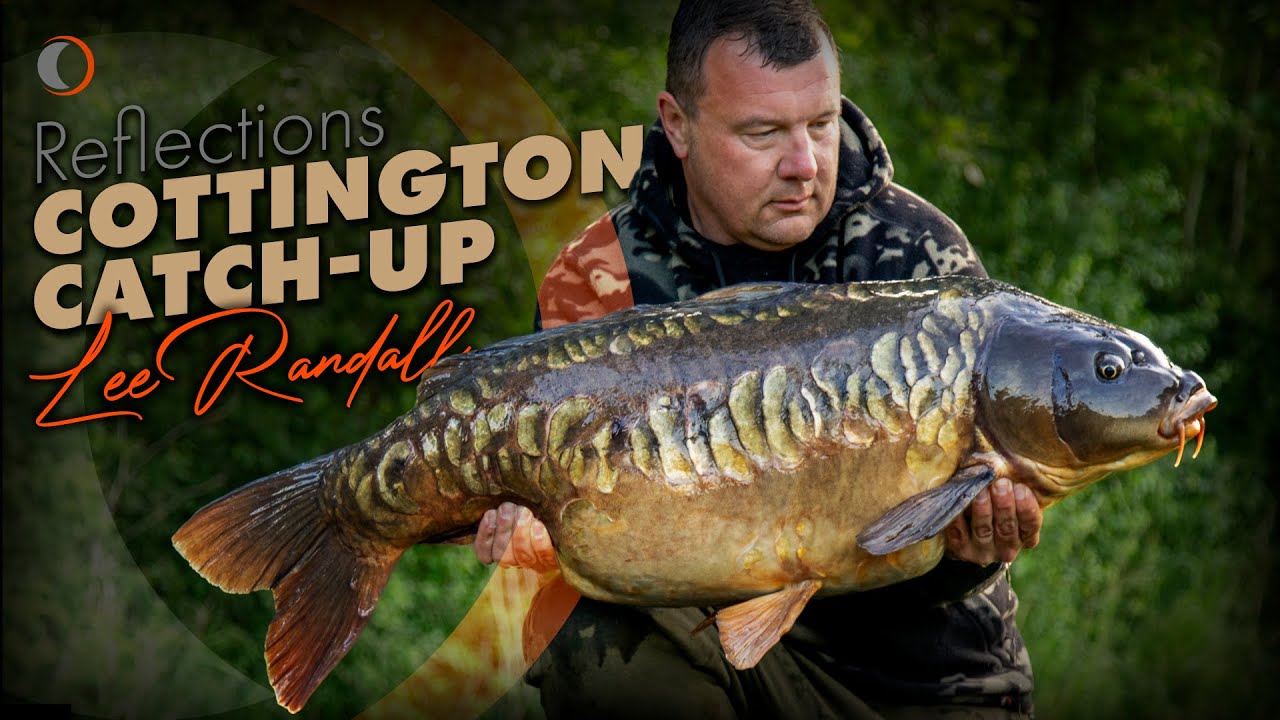 COTTINGTON CATCH-UP WITH LEE RANDALL