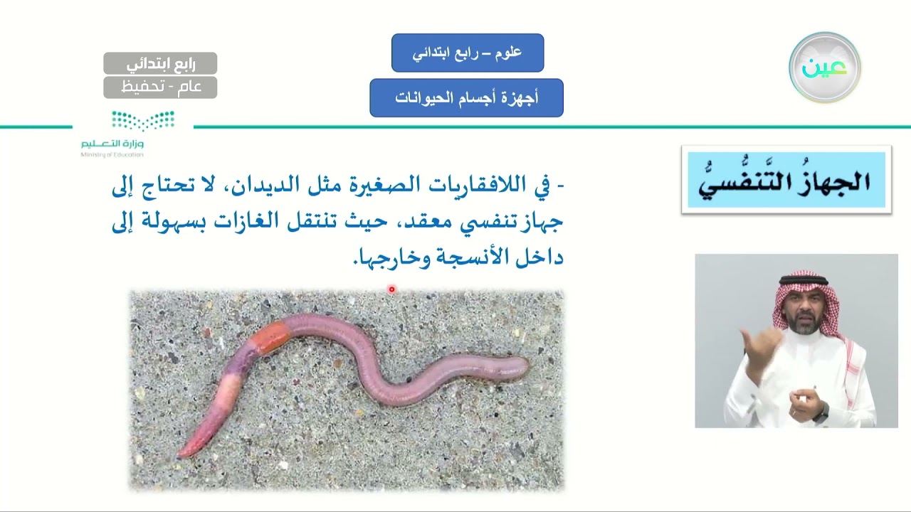 إثراءات أجهزة جسم الحيوان  - العلوم - رابع ابتدائي