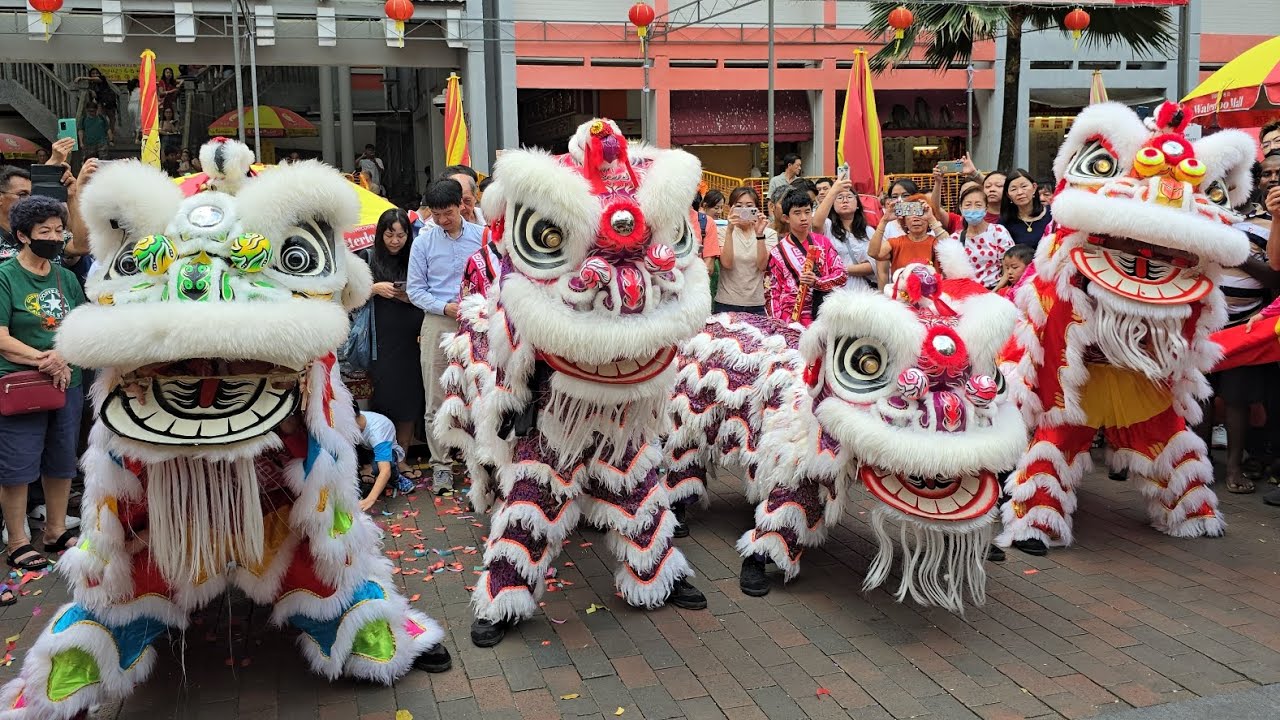 新加坡大鵬南華派武術龍獅太极學院 Singapore Da Peng Dragon & Lion Dance Performances at Bugis 四马路觀音堂 02/02/2025