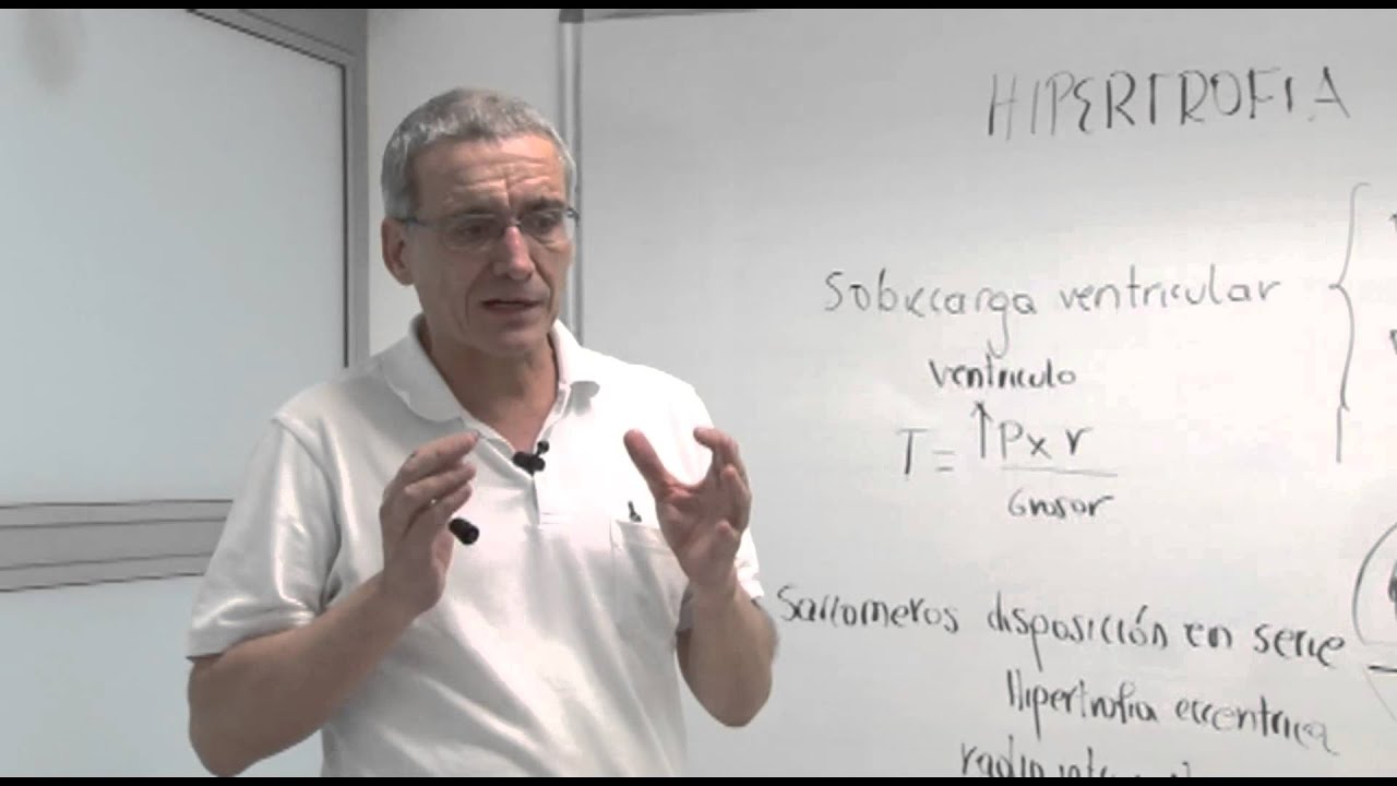 Fisiología III - Hipertrofia