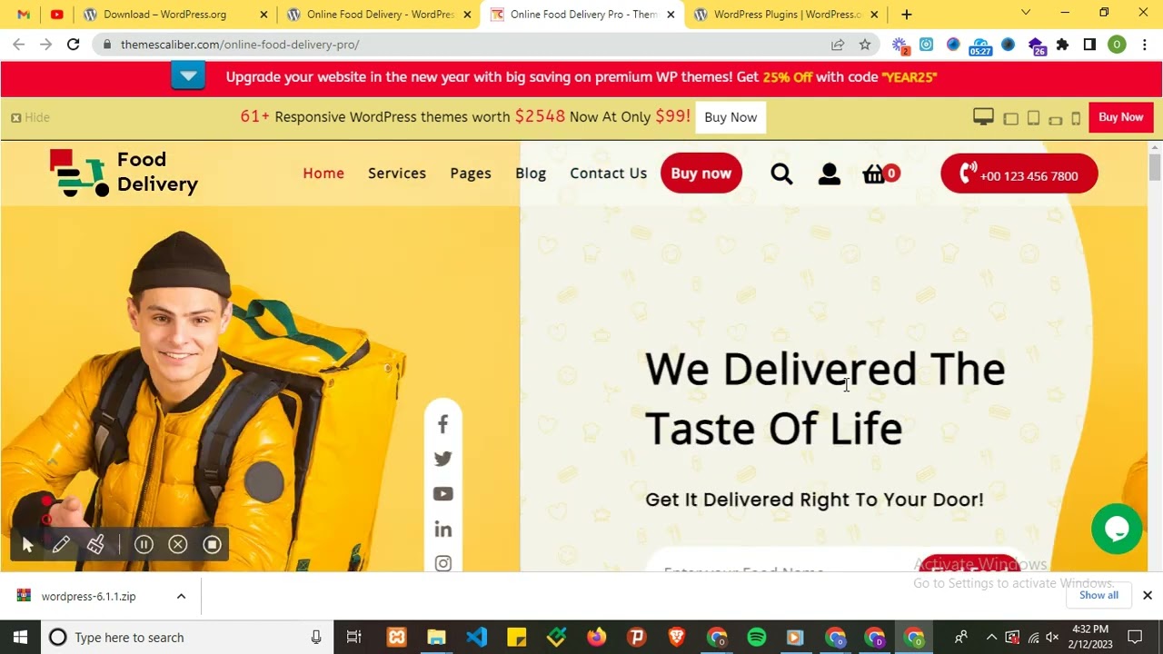 Ecommerce, Portfolio and Food Delivery Themes and plugin for WordPress Website