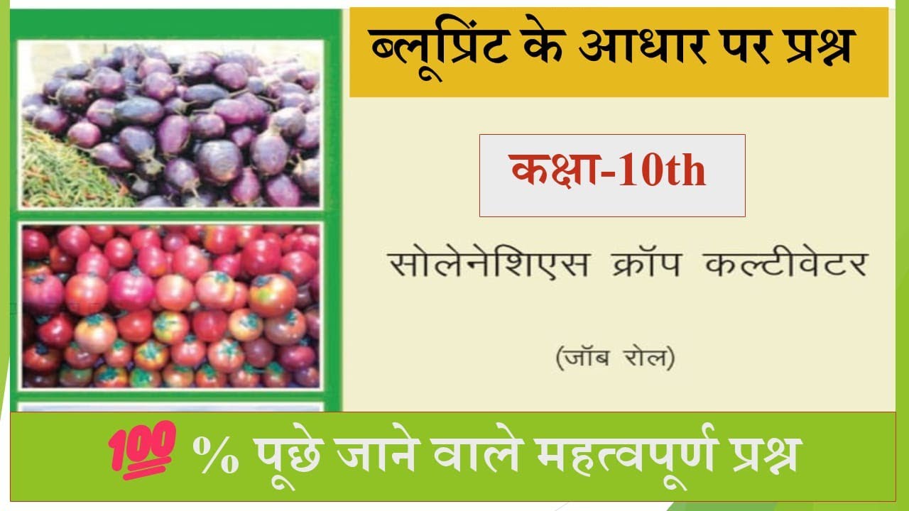 #सोलेनेशिएस क्रॉप कल्टीवेटर,#100% पूछे जाने वाले महत्वपूर्ण प्रश्न, कक्षा -10th,