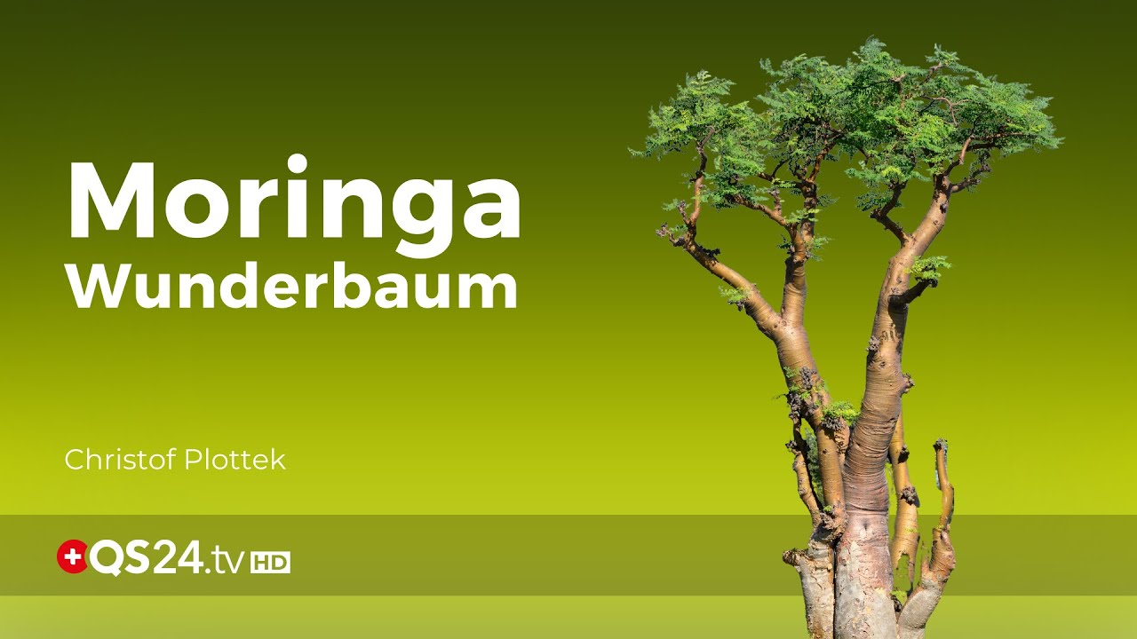 Moringa - der vitalstoffreiche Wunderbaum | NaturMedizin | QS24 Gesundheitsfernsehen