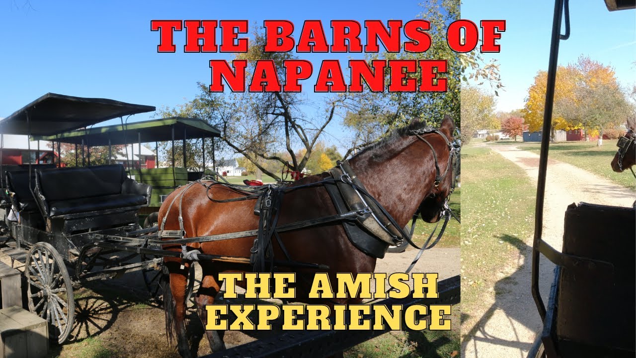 The Amish Experience, The Barns of Napanee