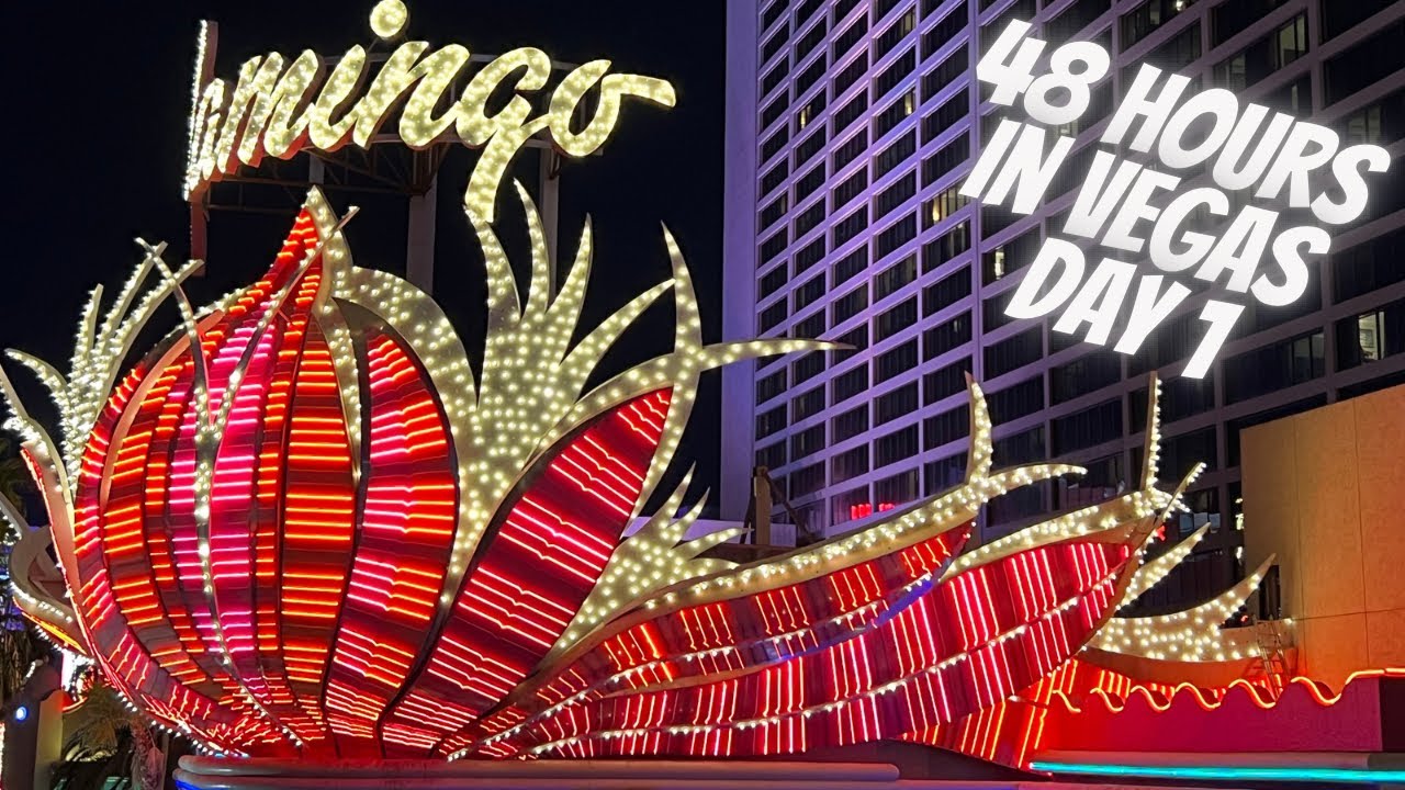 48 Hours in Vegas | Flamingo Hotel and Casino