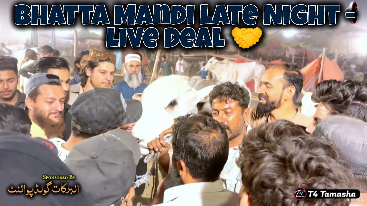 Bhatta Mandi last night - Pakistan Main Qurbani 2024 ky Akhri Din - Bakra Mandi 2024 - Qurbani 2024