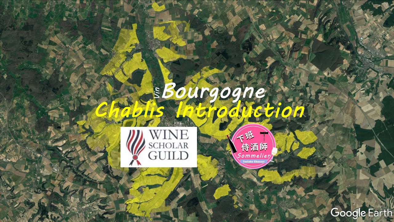 Wine Scholar Guild Bourgogne Master-Level | Chablis: An Introduction | Burgundy Wine Study