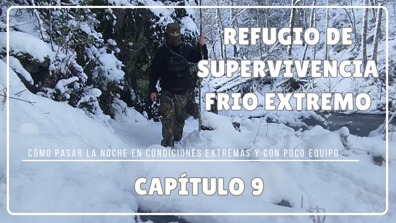 MONTAÑA INVERNAL , REFUGIO EN EL BOSQUE BAJO FRIO EXTREMO - LYMBO OF SURVIVAL-