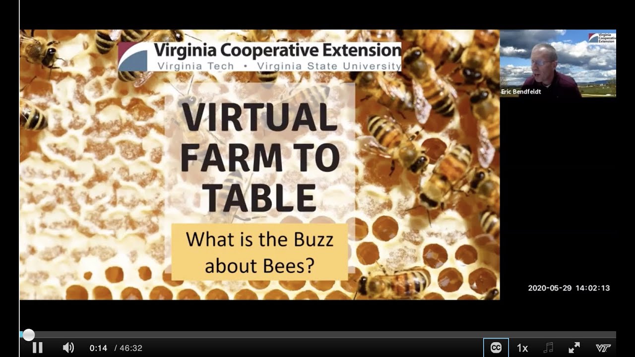 Virginia Virtual Farm to Table  Honey