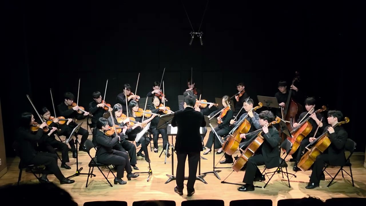 S.Prokofiev - 'Dance of the Knights' from Ballet 'Romeo and Juliet' (arranged for String Orchestra)