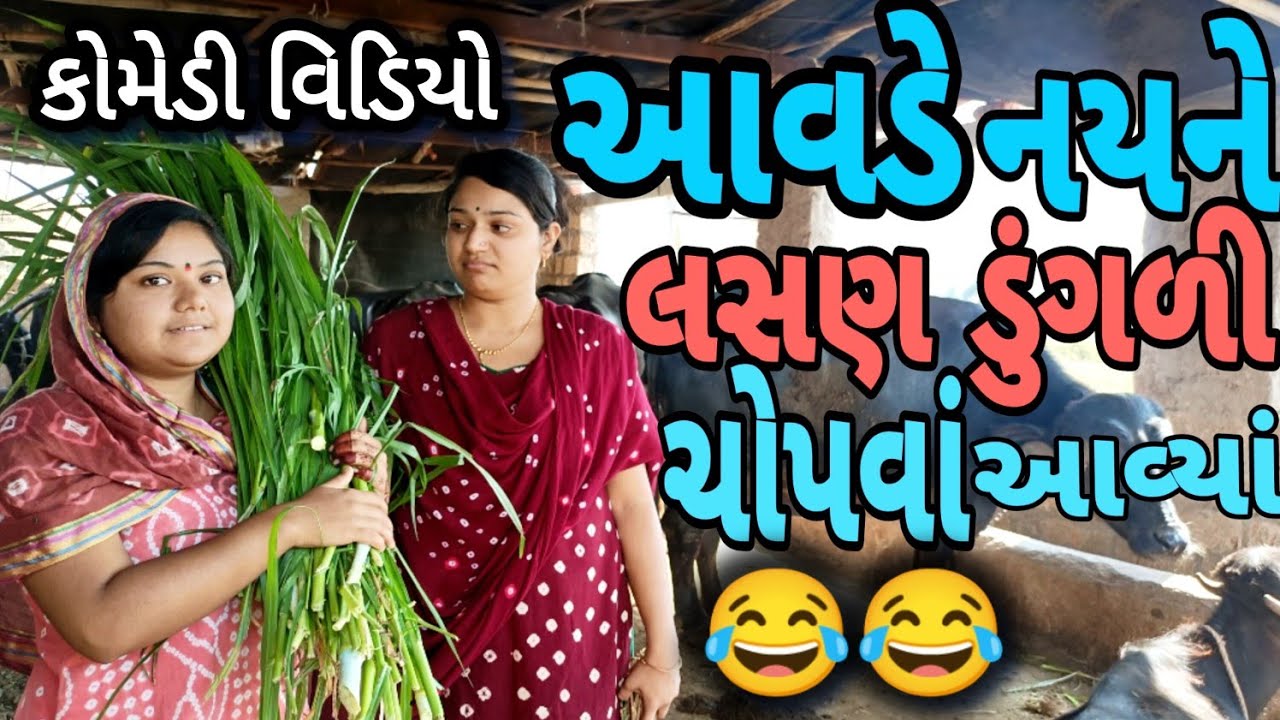 Aavde nayne lasan Dugli chopva aavya||આવડે નયને લસણ ડુંગળી વાવવા આવ્યા||comedy video||Desi video||