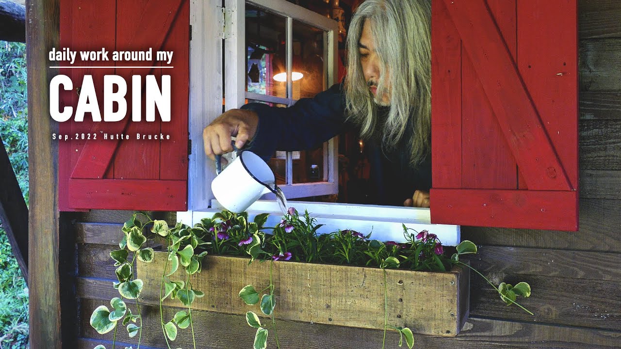 What do you think is the best flower for the window box?