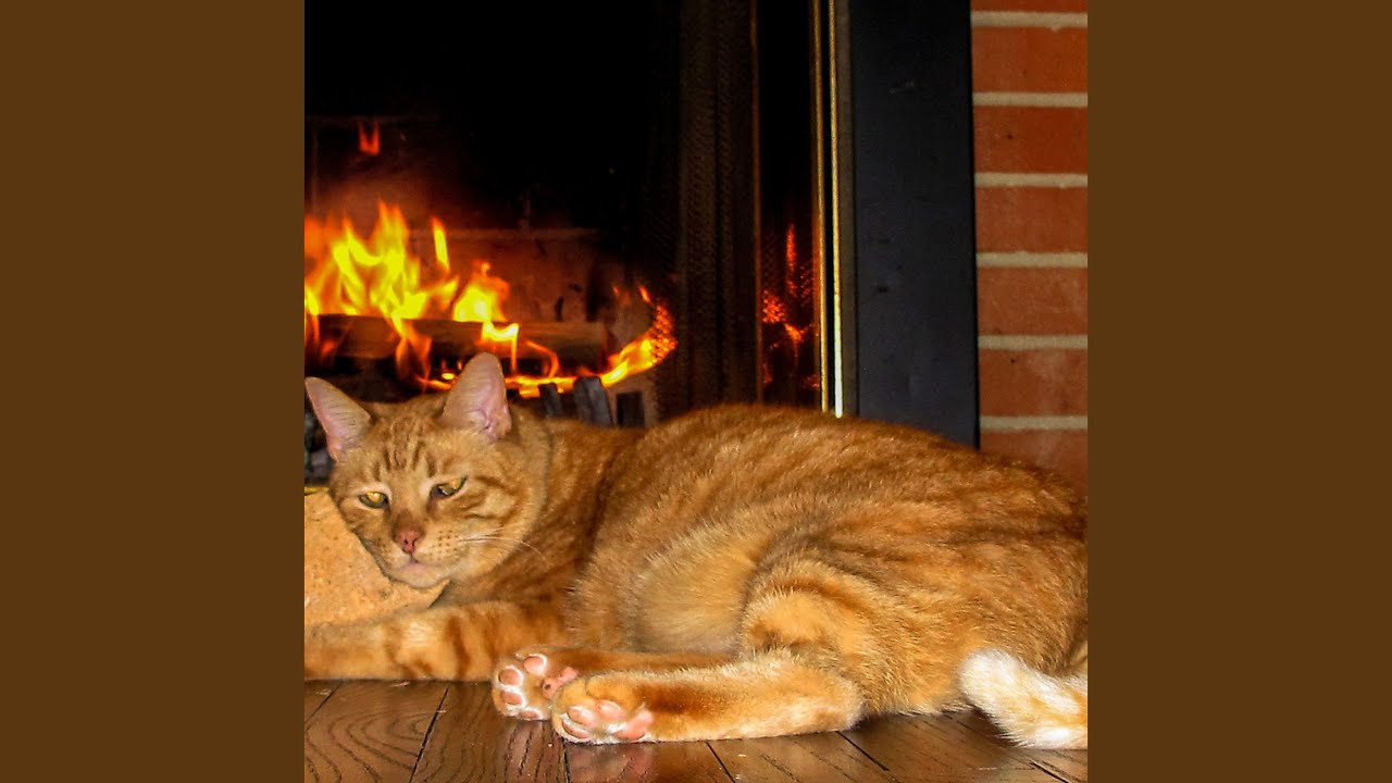 Firelight's Chorus of Pet Calm