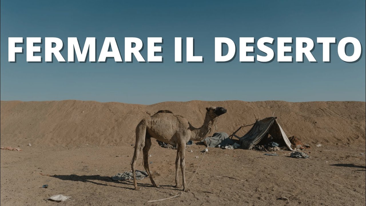 DESERTIFICAZIONE 🌵🐪 : come RIFORESTARE IL SINAI 🌿