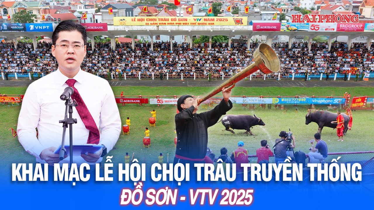 Khai mạc lễ hội chọi trâu truyền thống Đồ Sơn - VTV 2025